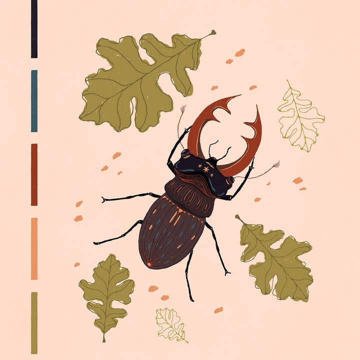 Maile Lani Art + Illustration - Wholesale Art print - Star Beetle – Stag Insect Entomology Botanical Art Print1