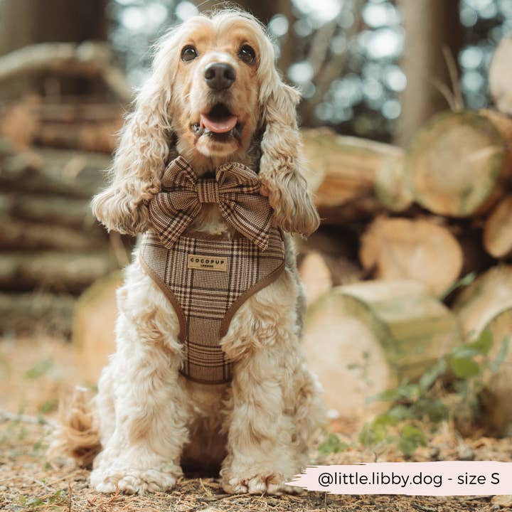 Cocopup London - Wholesale Pet Harness - Dog - Pup Plaid Adjustable Neck Harness