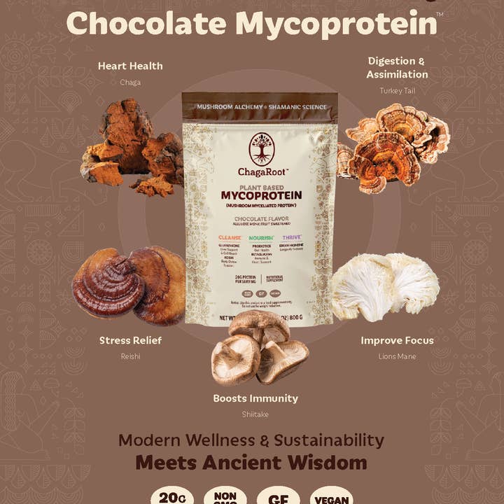 ChagaRoot – Großhandel Protein-/Superfood-Pulver – Mykoprotein