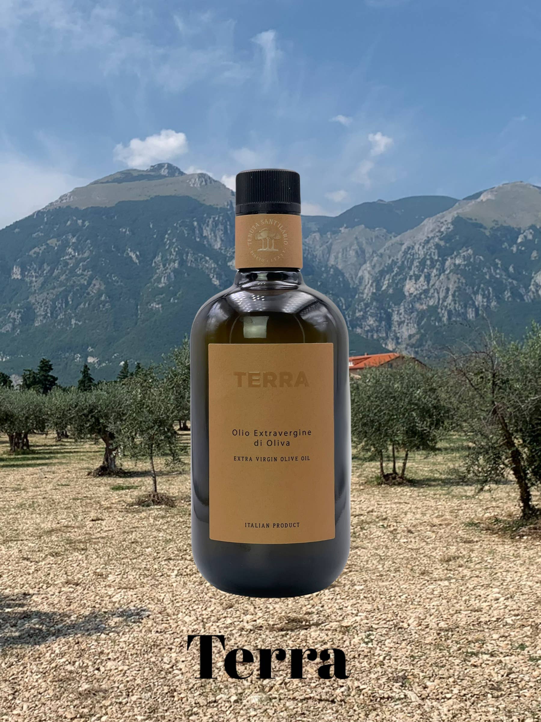 TENUTA SANT'ILARIO – wholesale Olive oil – SOIL LINE, 3 bottles 500 ml 100% ITALIAN EXTRA VIRGIN OLIVE OIL6