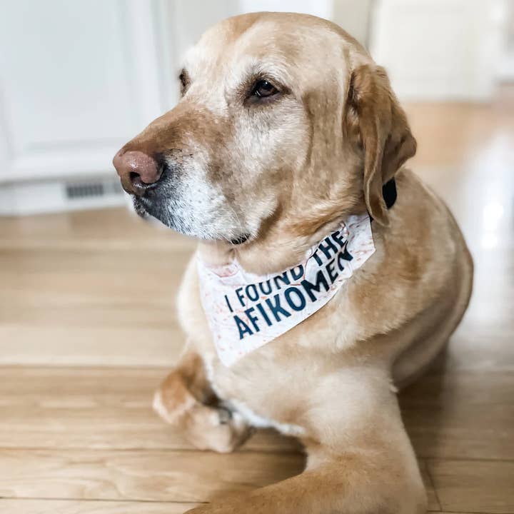 Bandana pour animaux de compagnie Collier Pessah Afikomen pour la vente par Love Always, Audrey