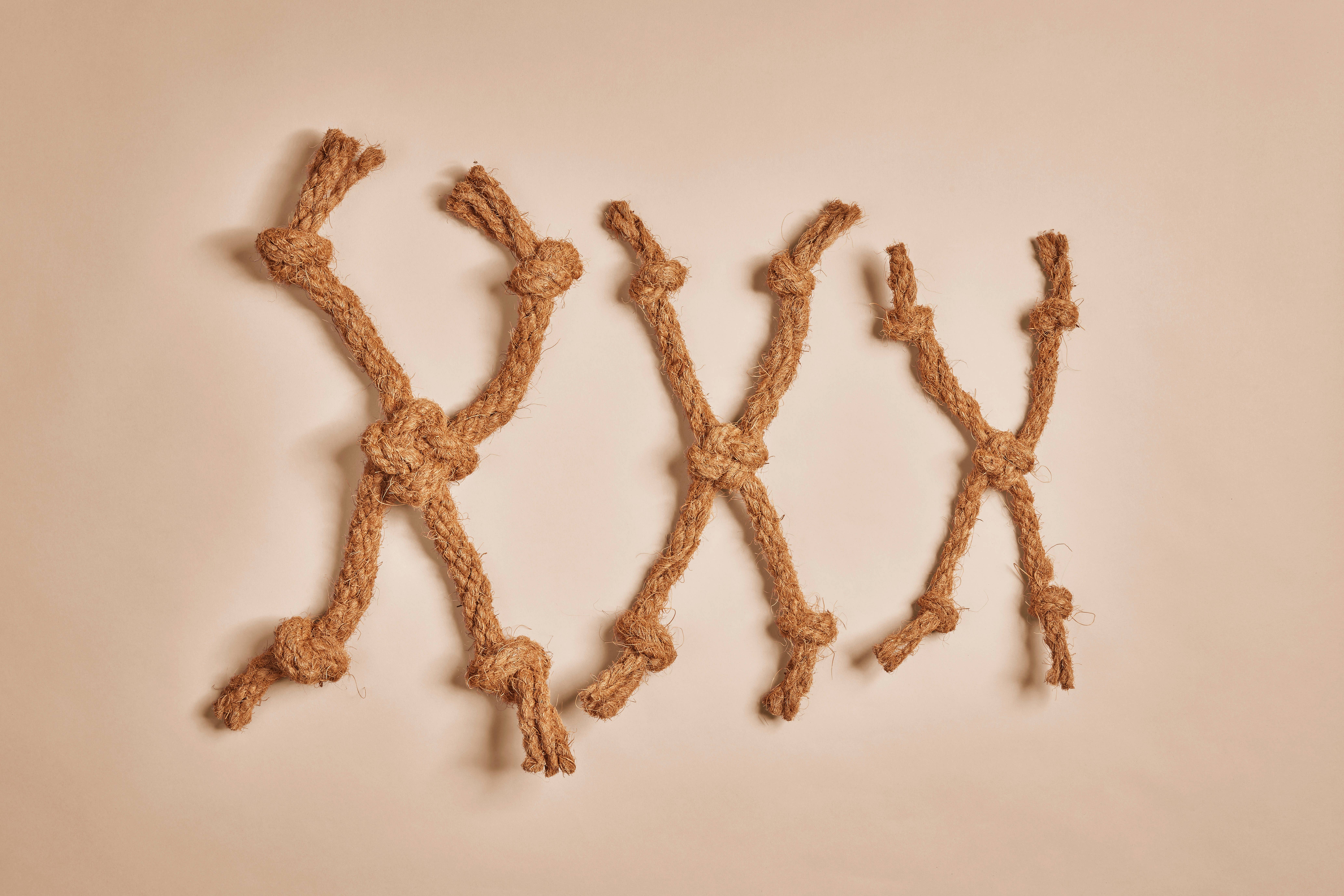 CANOPHERA GmbH - Wholesale Pet Rope Toy - Dog - COCOSPIDER. Dog Chew Made of Coconut Rope