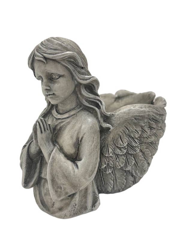 DF19938 for wholesale by David Fischhoff Ltd