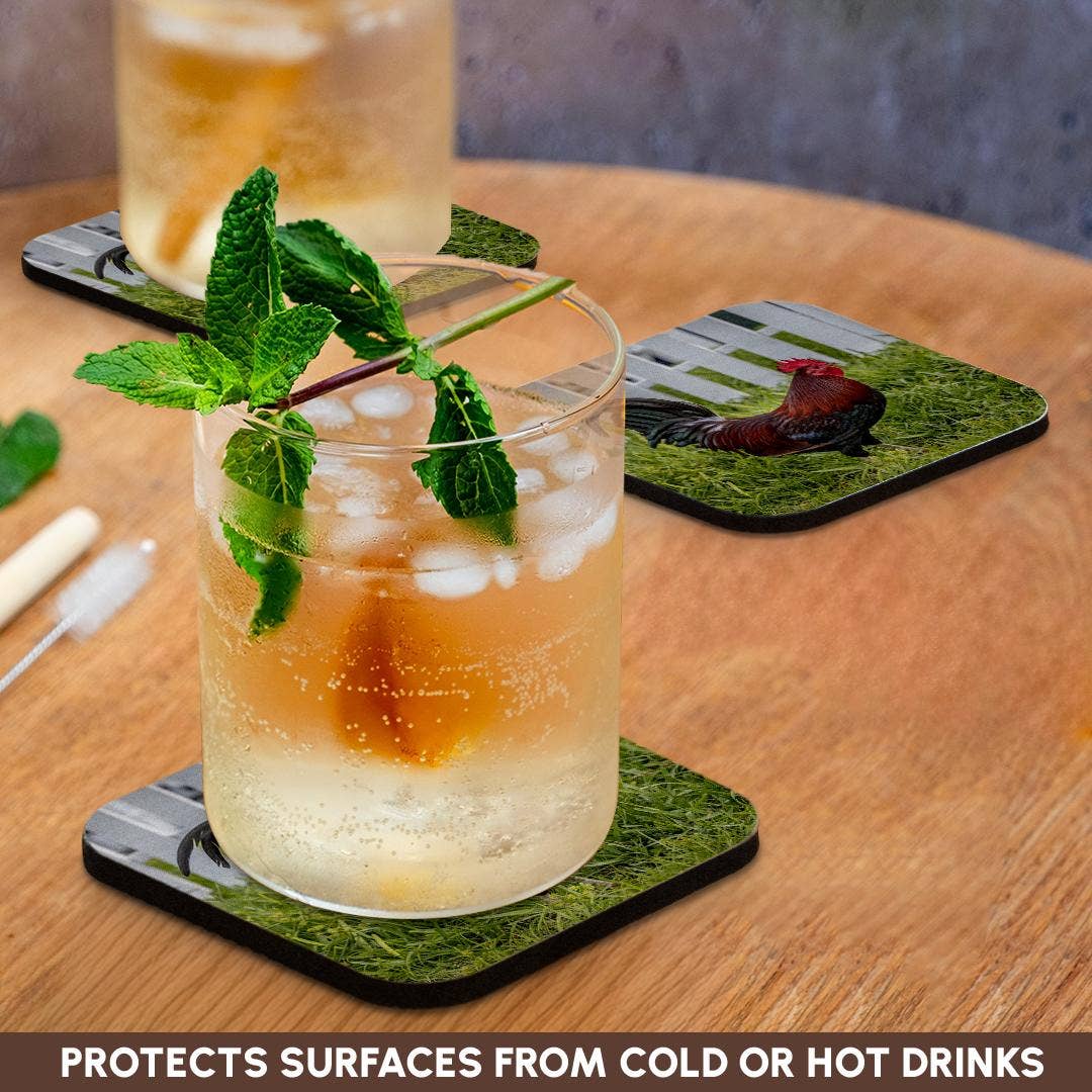 3dRose - Wholesale Coasters - 3dRose, Cubalaya Gypsy Rooster in Key West, Florida, USA., Coaster9