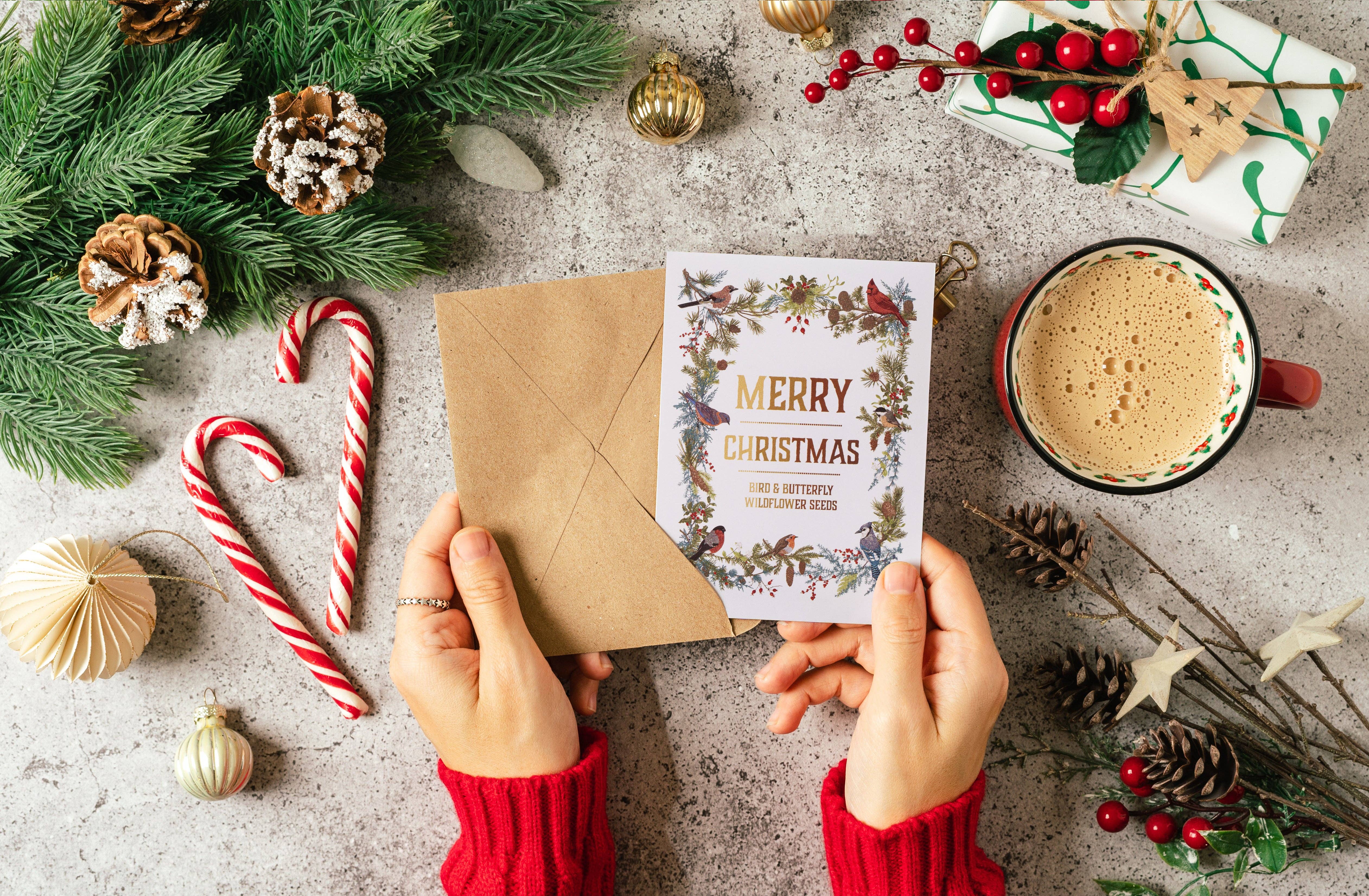 Bentley Seed Co. - Vente Étiquette cadeau - Étiquette cadeau de couronne de Noël avec oiseaux - Oiseau & Papillon Fleur sauvage2