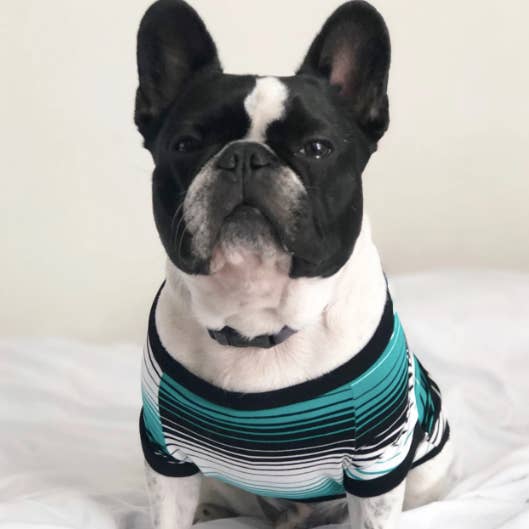 Homerun Pup Shirt - Green Stripe for wholesale by BOSSPUP