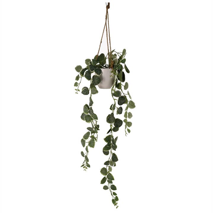 Artificial Potted Hanging Trailing Plant Green Plant and other Purchase Wholesale plastic hanging pots. Free Returns & Net 60 Terms on Faire trending on Faire.