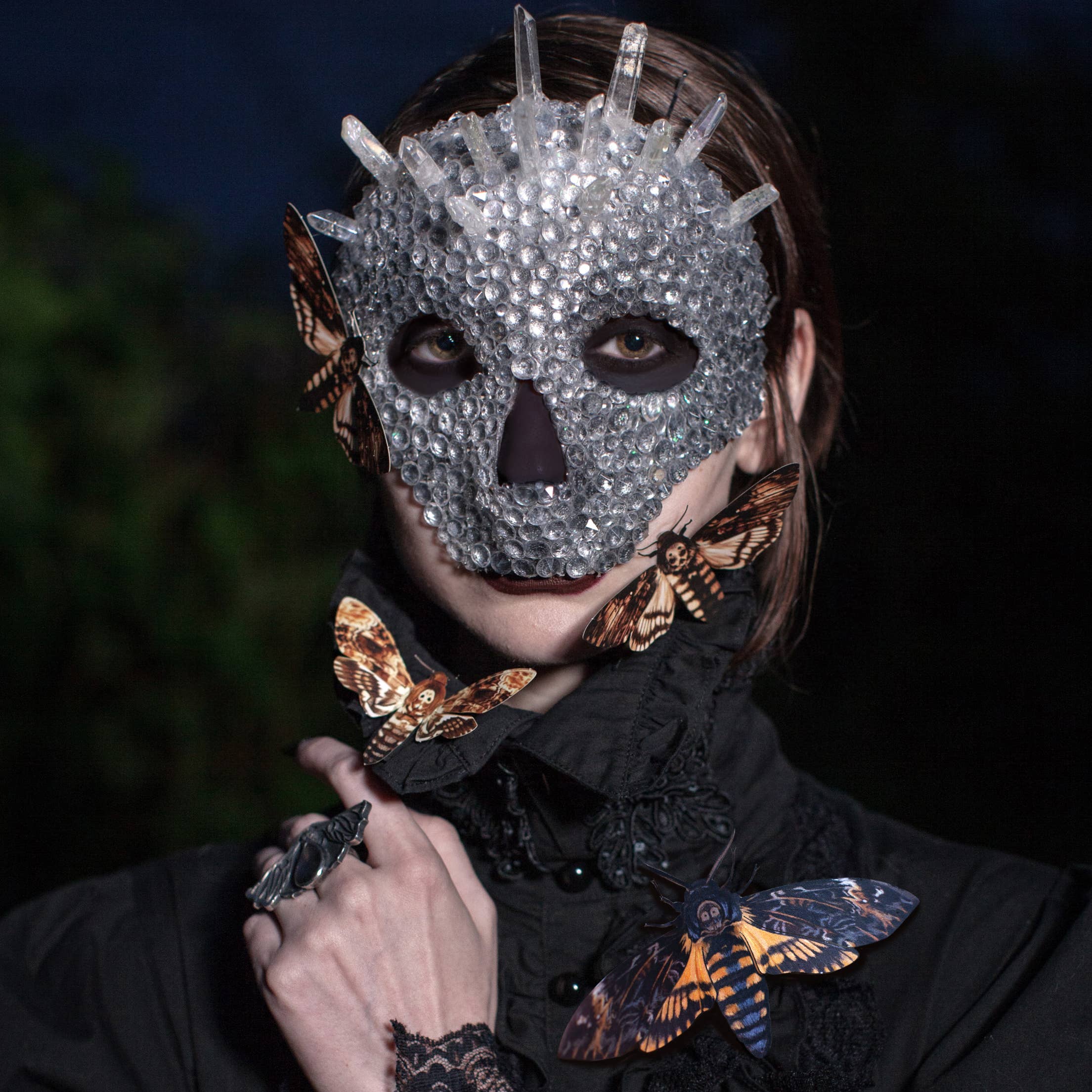 Moth and Myth - Venta al por mayor Recortables - Set de 3 piezas para polillas y hongos «Forage»4