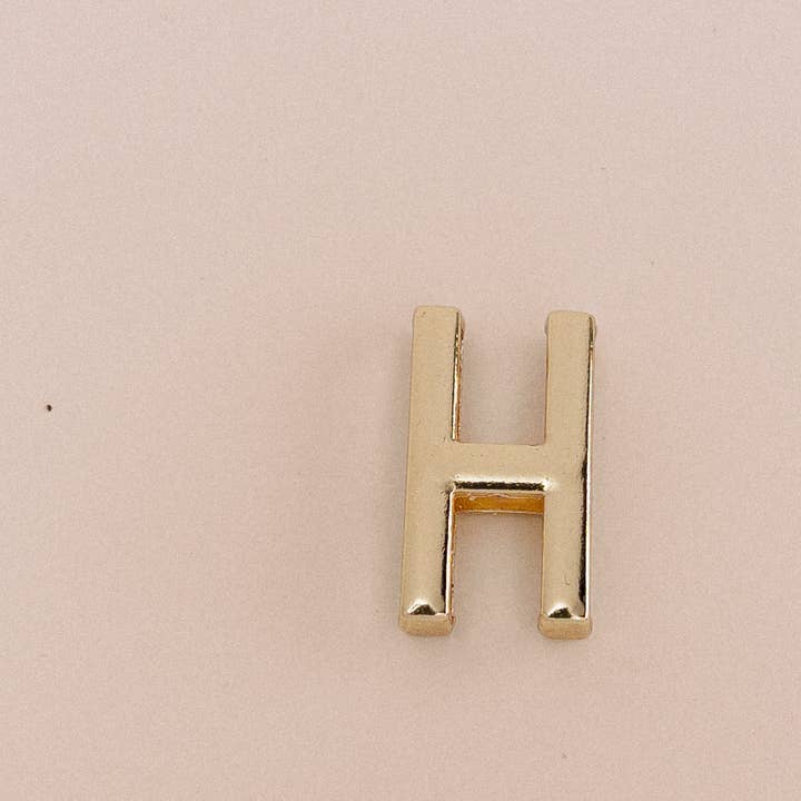 PetyzPaws - Wholesale Pet Collar - Cat/Dog - Slide Metal Letter A-Z 26 Alphabet Letters Slide Letter11