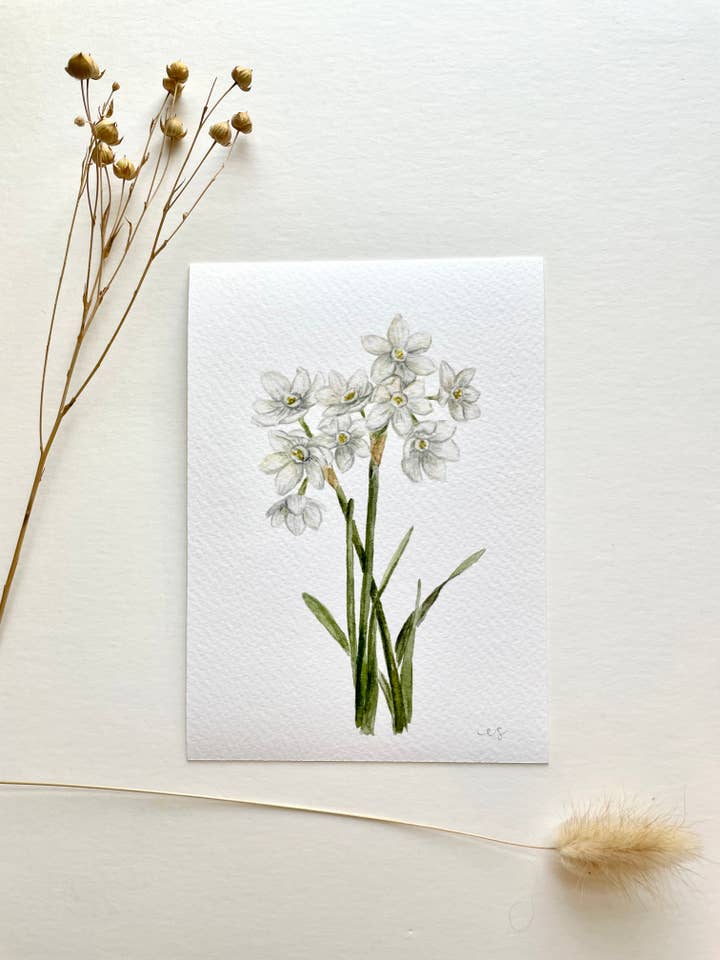 Kunstdruck „Narzisse, Geburt im Dezember“ für den Großhandel von Ellen Schaefer Art