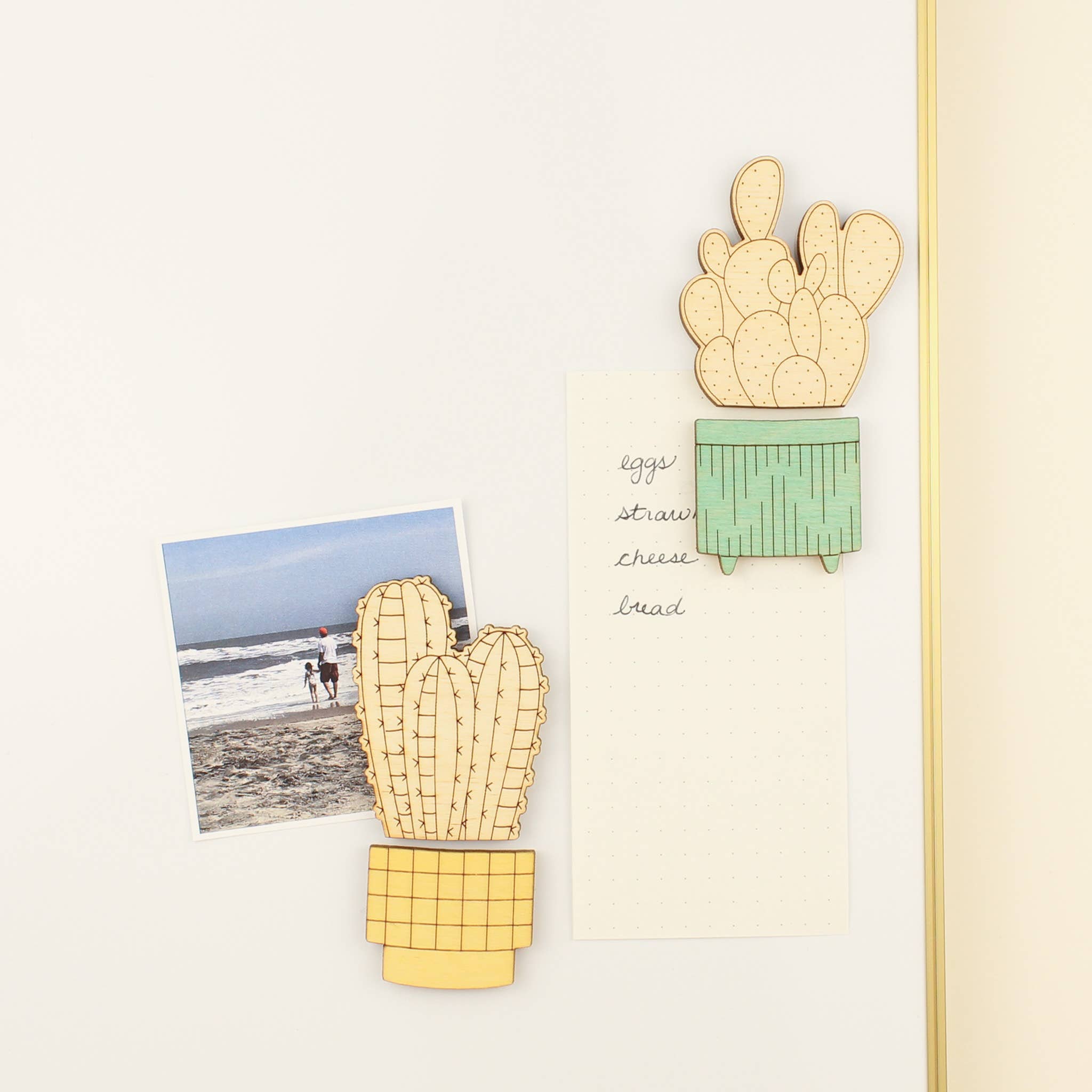 oh, little wren - Wholesale Magnet - Wood House Plant Magnets | Peruvian Apple Cactus | Plant Lover Gift2