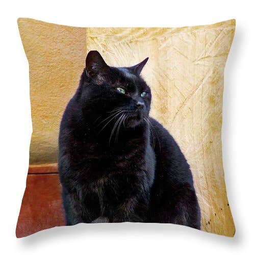 COUSSIN « LE CHAT NOIR DE LA CALCATA » pour la vente par sorayadapuzzostore