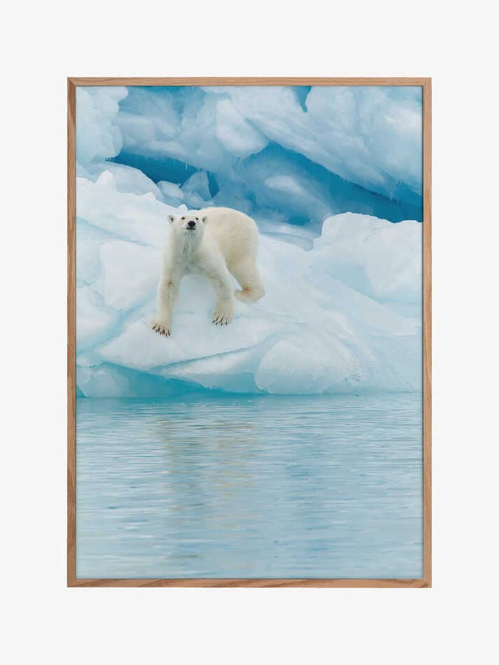 Te veo para venta al por mayor de Pictufy Wholesale