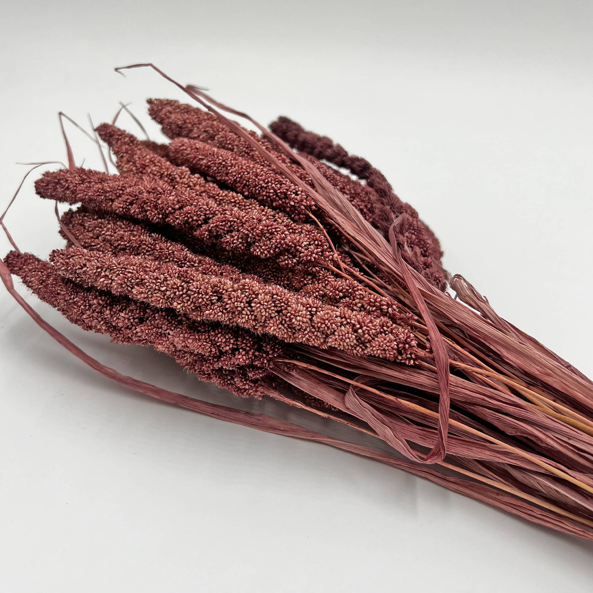 2626 Designs - Wholesale Dried/Pressed Flowers - Dried Preserved Millet Flower 21" Multiple Colors27