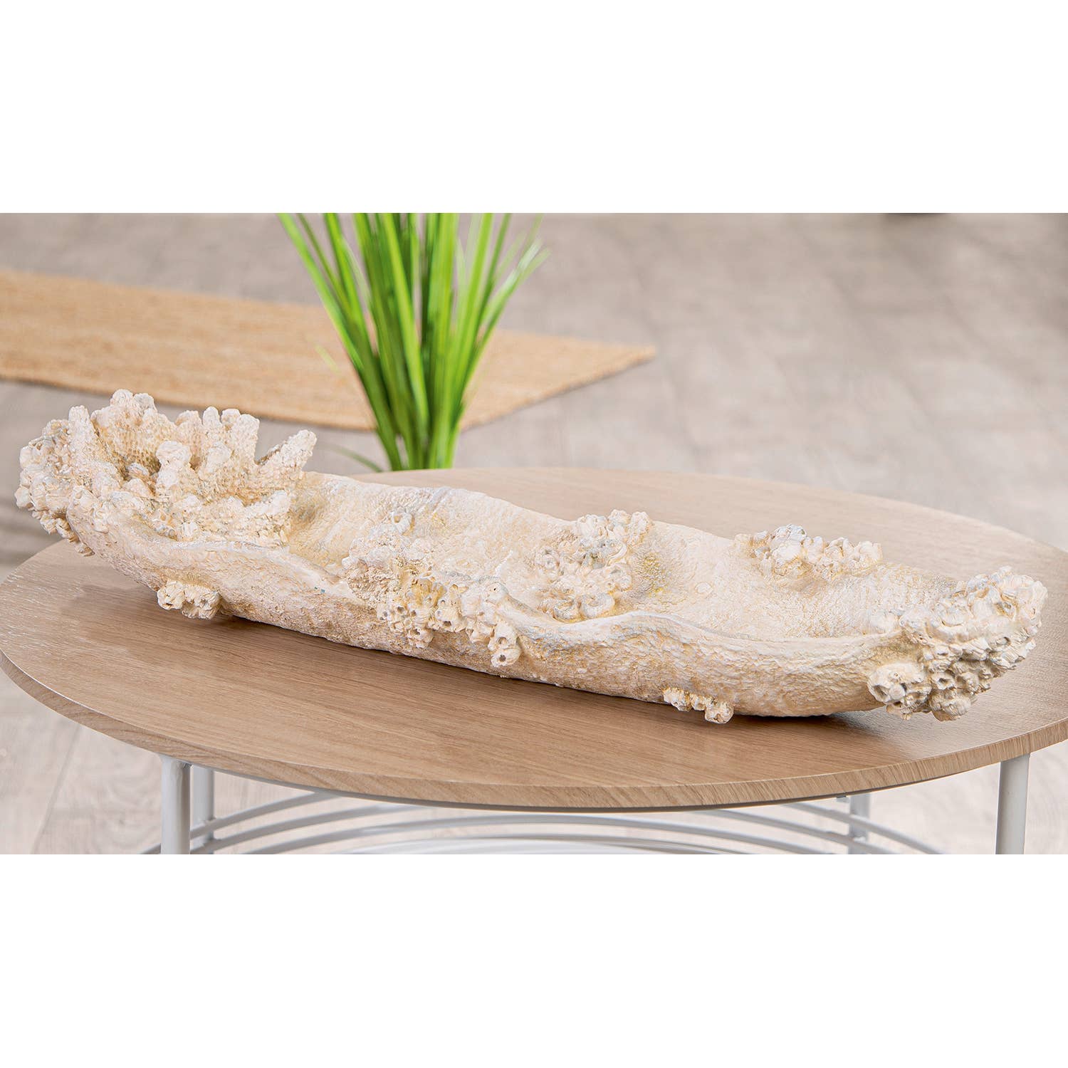 Bowl Amphora Seychelles white H. 10.5 cm, PU 1 for wholesale on Faire1