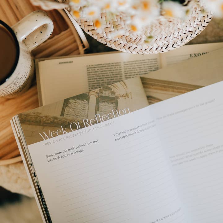 The Daily Grace Co - Wholesale Religion - Journey to Freedom | The Life of Moses4