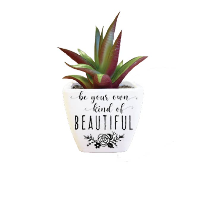 Sentiment Succulent - Beautiful for wholesale by The H&H Group