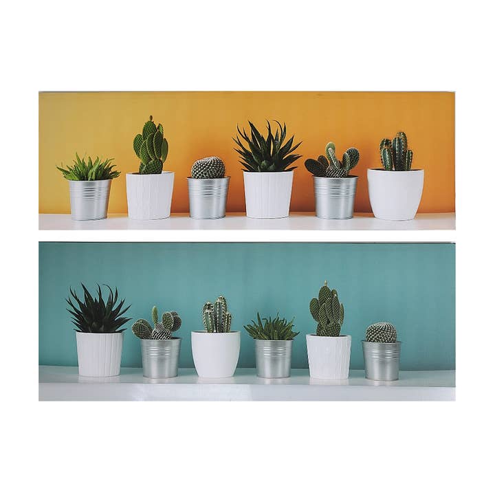 Lienzo decorativo para pared Succulents Asstd para venta al por mayor de IH Casa Decor