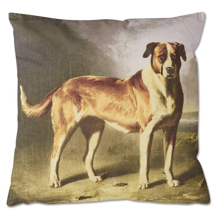 St. Bernard Throw Pillow for wholesale by CTW Home Collection