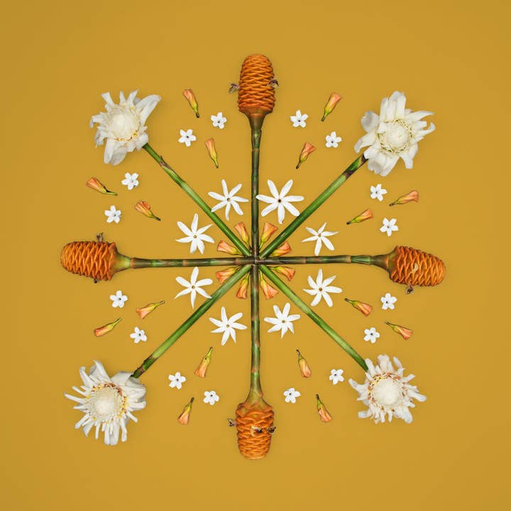 Golden Beehive for wholesale by Lola Pilar Hawaii