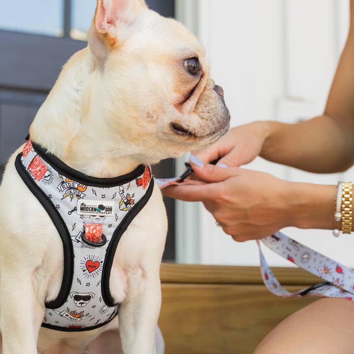 Dåligt för bensele för wholesale av The Modern Dog Company