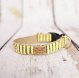 Finnegan’s Standard Goods - Wholesale Pet Collar - Dog - 1" SUNSHINE STRIPES COLLAR