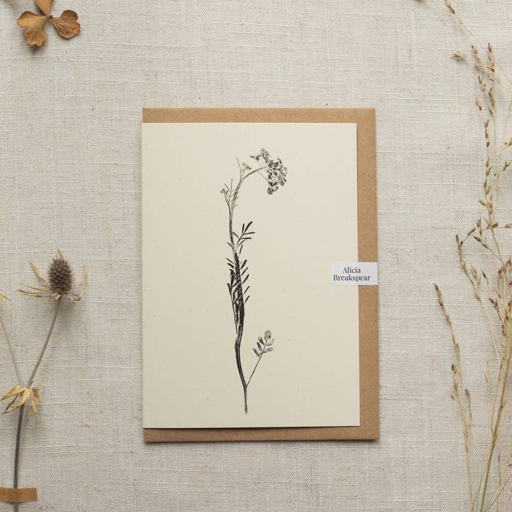 Alicia Breakspear - Wholesale Everyday Greeting Card - Lady's Smock Flower Greeting Card A6 Recycled Card