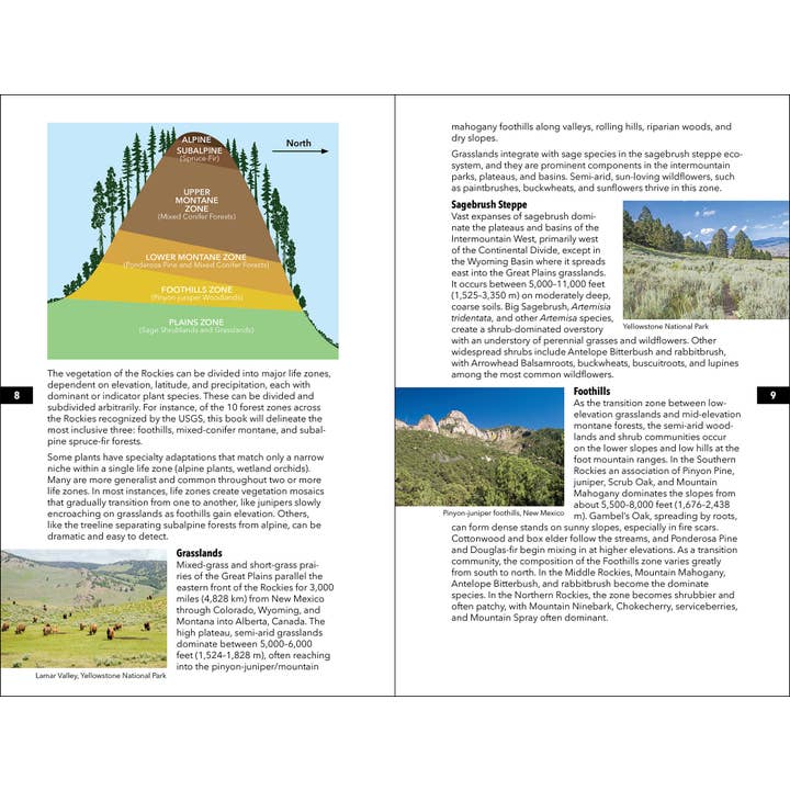AdventureKEEN - Wholesale Nature Guide - Rocky Mountain Plant Guide