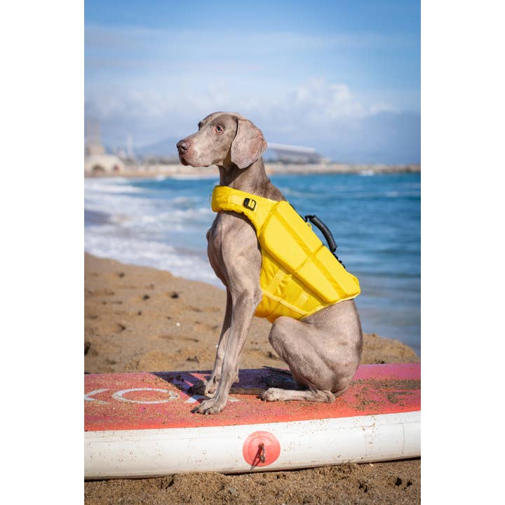 NOAH AND PAW LLC – Großhandel Haustierjacke – Hund – Human Standards Hundeschwimmweste mit 4-facher Schaumpolsterung für maximale Auftriebskraft – Gelb20
