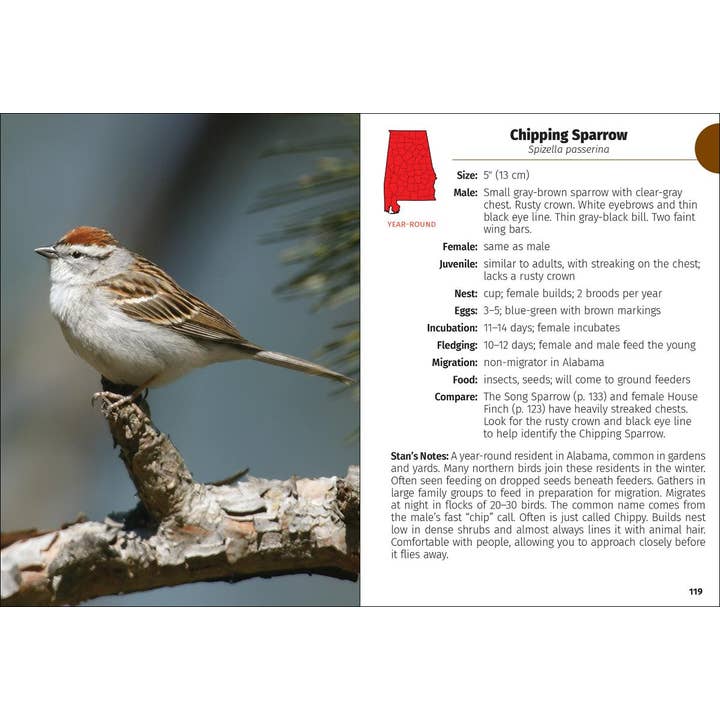 AdventureKEEN - Wholesale Nature Guide - Birds of Alabama Field Guide 2e