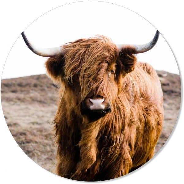 Cercle mural brun vache pour la vente par GM decoratie