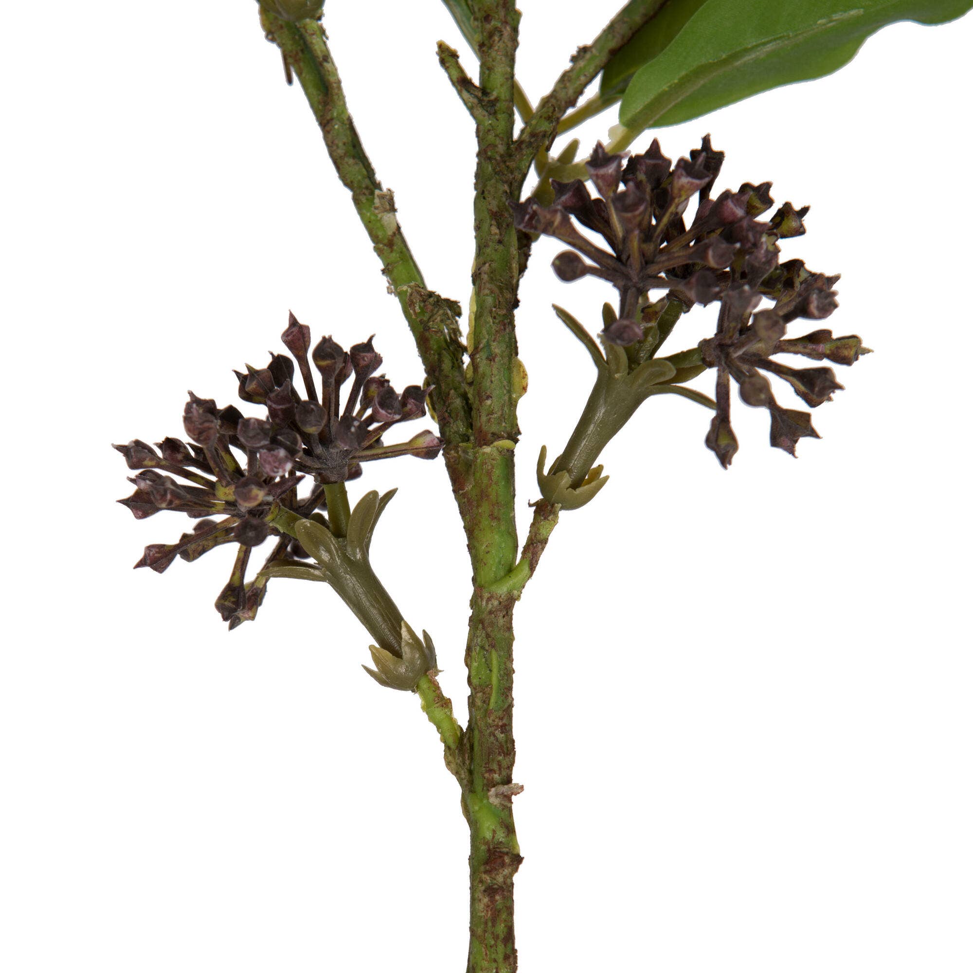 Vickerman 31" Blackberry Purple Berry Spray 2/bag for wholesale on Faire1