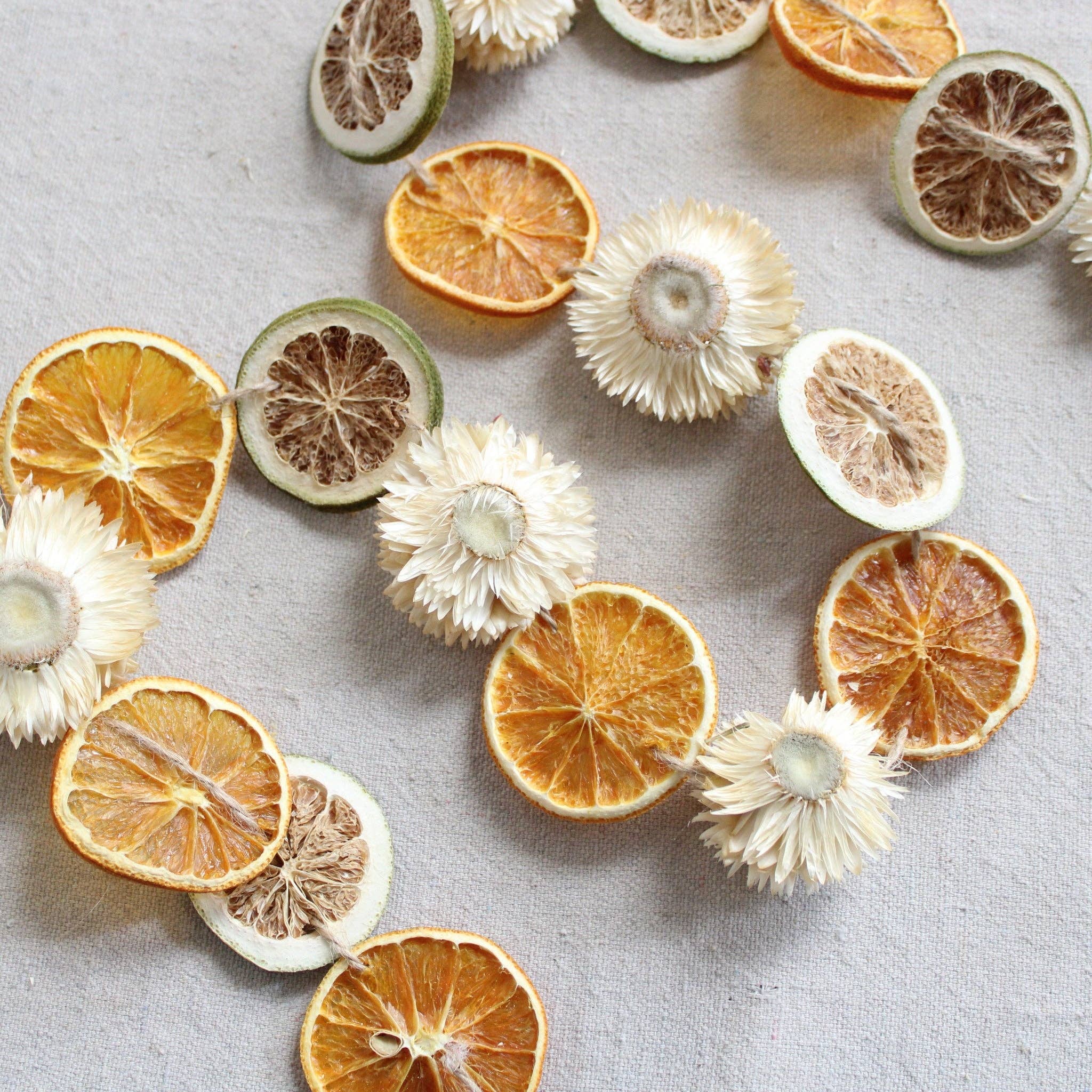 Roxanne's Dried Flowers - Wholesale Dried/Pressed Flowers - Strawflower - Dried4