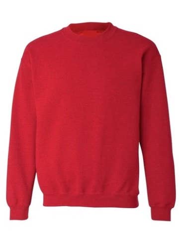 India Boutique, Inc. - Wholesale Sweatshirt - Unisex - Y-101 PLAIN5
