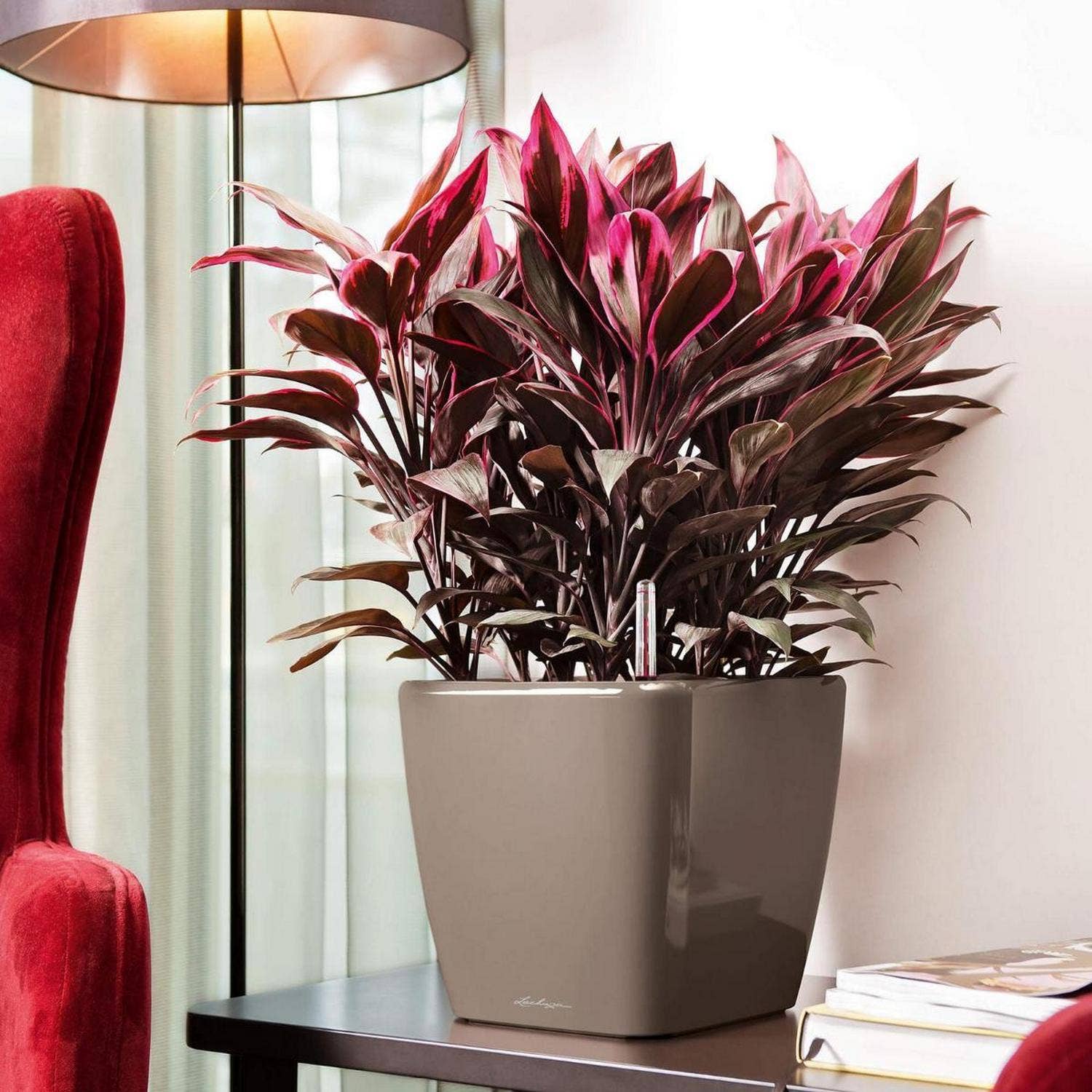 Lechuza Self Watering Planters - Vendita all'ingrosso Vasi per piante - Fioriera quadrata LECHUZA QUADRO LS Poly Resin16