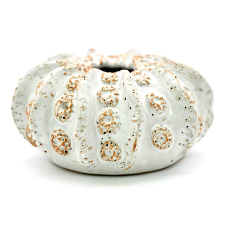 SRI193W Coral ceramic vase white for wholesale by Art Floral Trading LLC