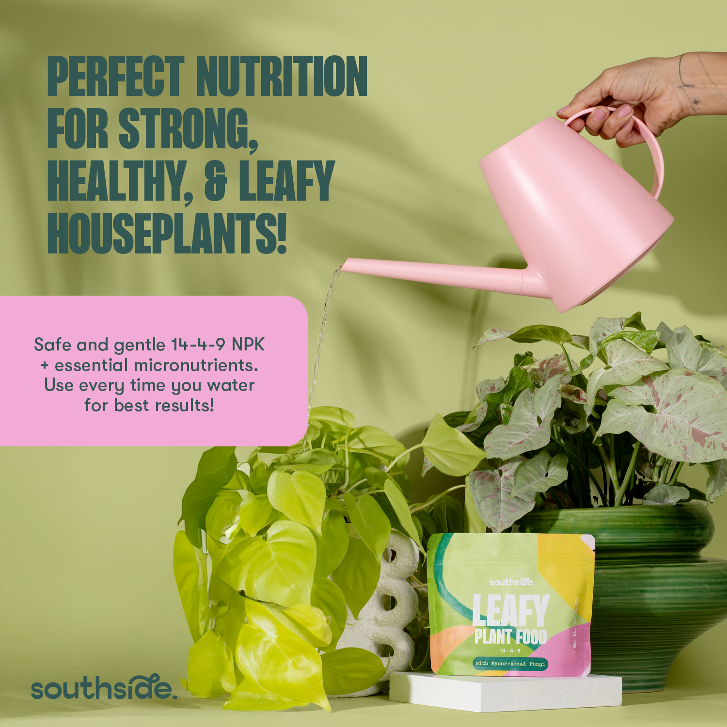 Southside. - Vente Engrais - Nourriture pour Plantes Feuillues - Nutrition Complète et Douce + Mycorhizes1