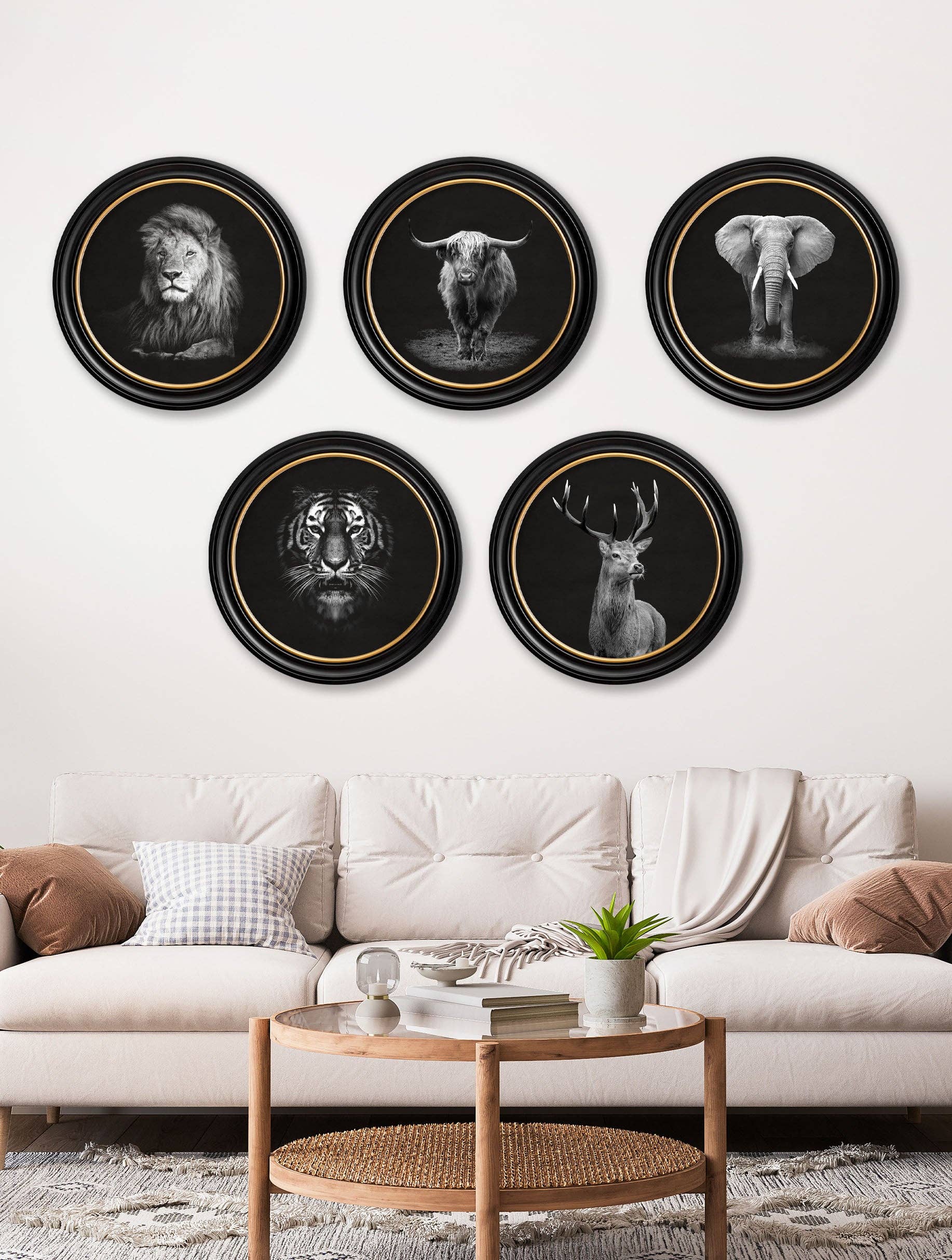 T A Interiors Wall Art & Mirrors – wholesale Art print – Wildlife Photography - Tiger - Round Frame1