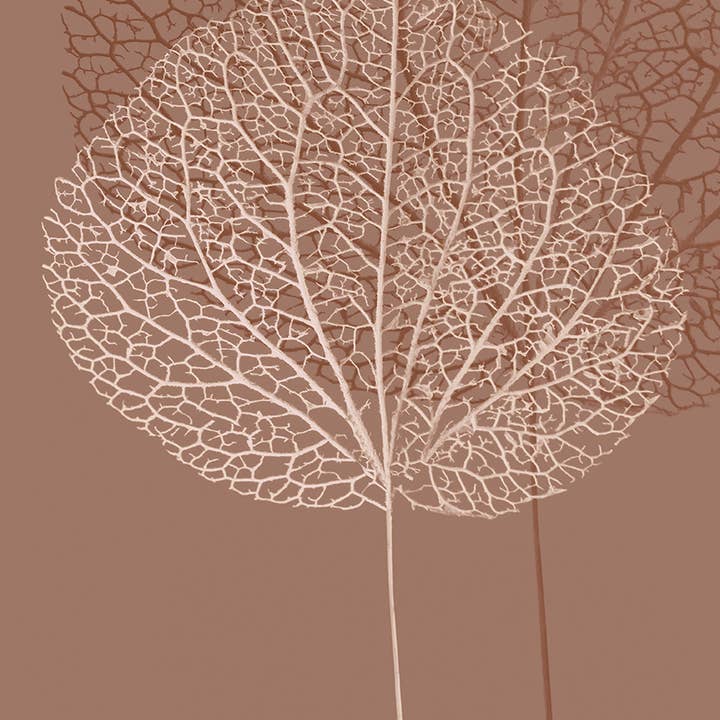 Ian Winstanley (Silhouette de tige I) - WDC12328 pour la vente par The Art Group