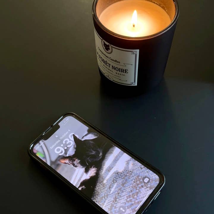 Companion Candles - Wholesale Jar/Filled Candle - La Forêt Noire by Daniel Martin3