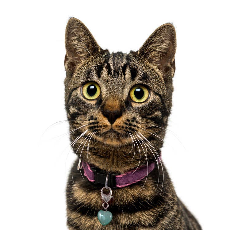 Crystal Pet Love - Wholesale Pet Collar Charm - Cat/Dog - Healing Green Aventurine Pet Pendant for Crystal Support3