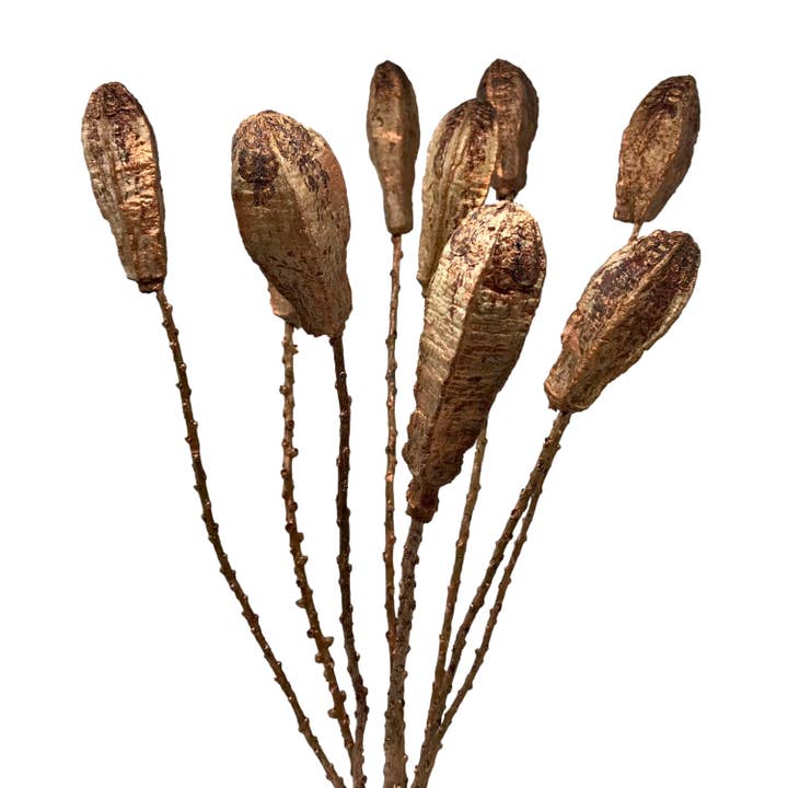 Wilco Home - Wholesale Dried/Pressed Flowers - 9 Stem Simeon Pod Bunch Brushed Copper Bouquet