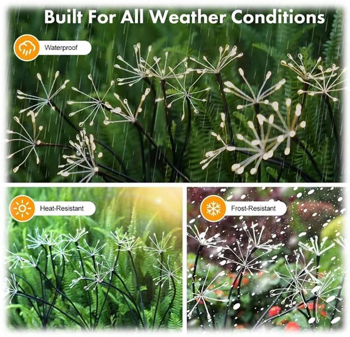 Will's Company - Wholesale Garden/Lawn Stake - LED Solar Dandelion Burst Garden Stake - Box of 2, 29.5"1