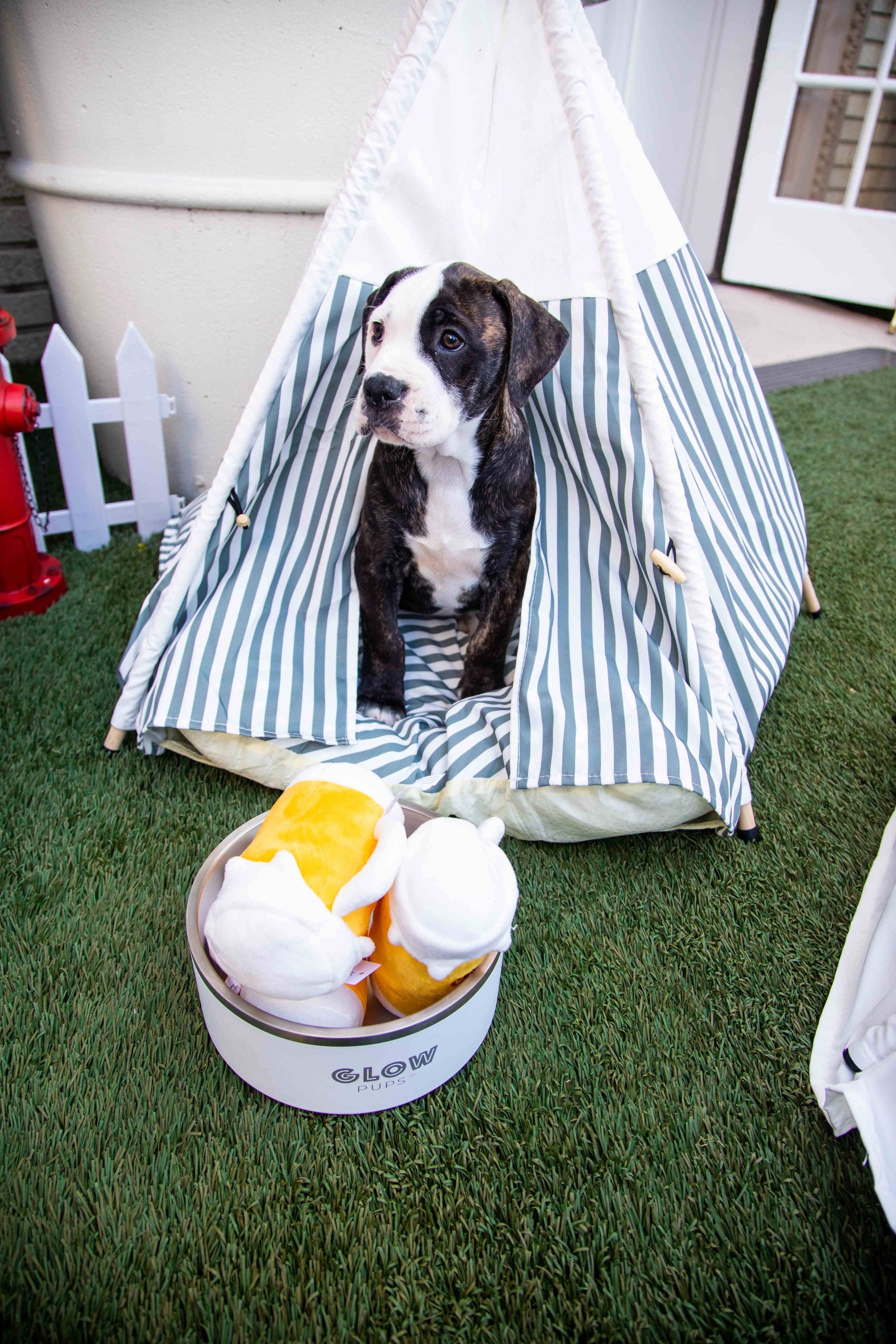 Glow Pups – wholesale Pet bed – Dog – Grey and White Striped Pet Teepee