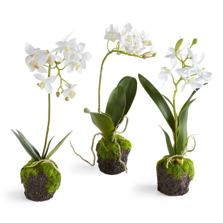Napa Home & Garden - Wholesale Artificial Flowers - Dendrobium Orchid Drop-Ins 12", Set Of 3