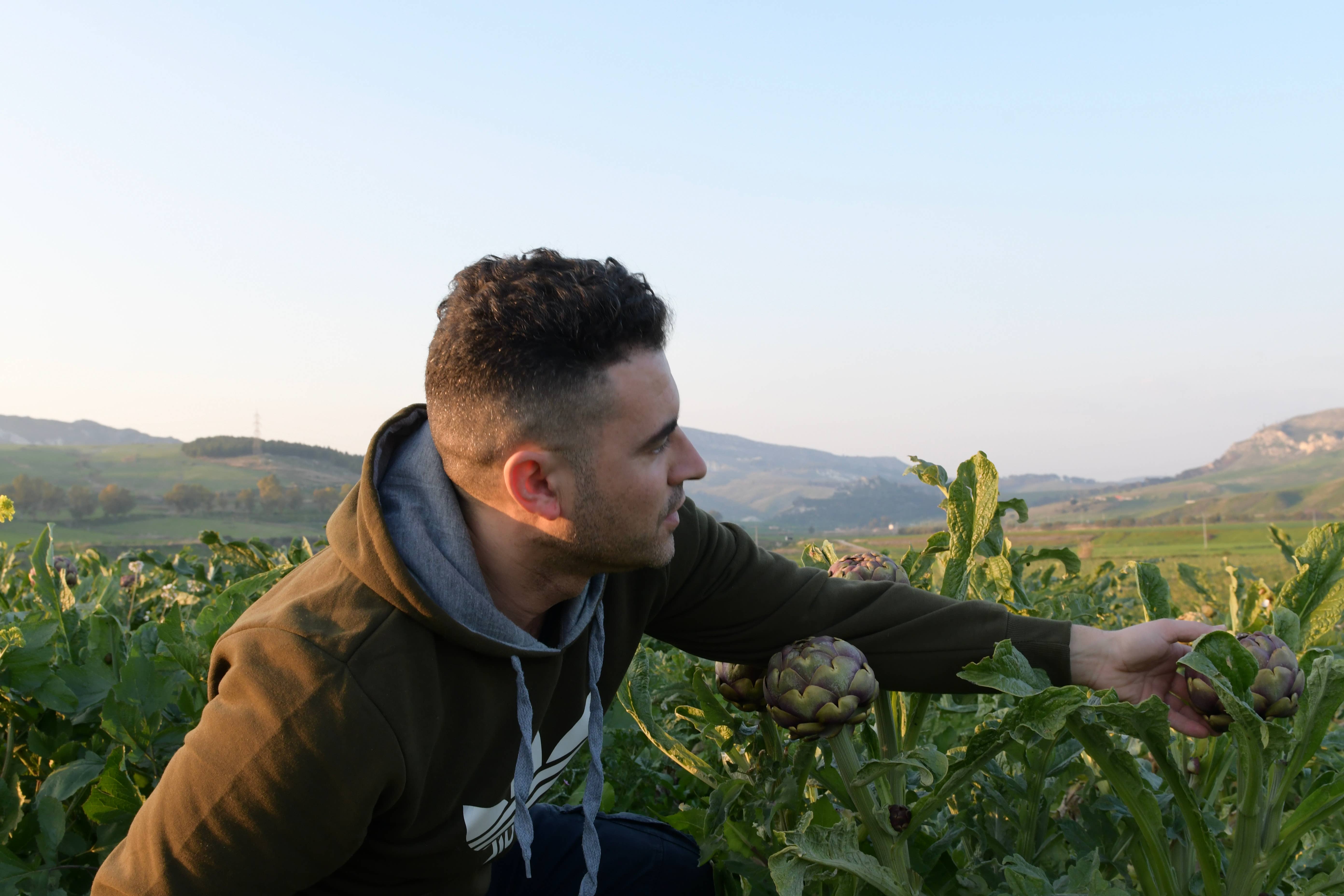 almasicily – Großhandel Pastasoße – Sizilianische Artischocke Caponata 500g Glas6