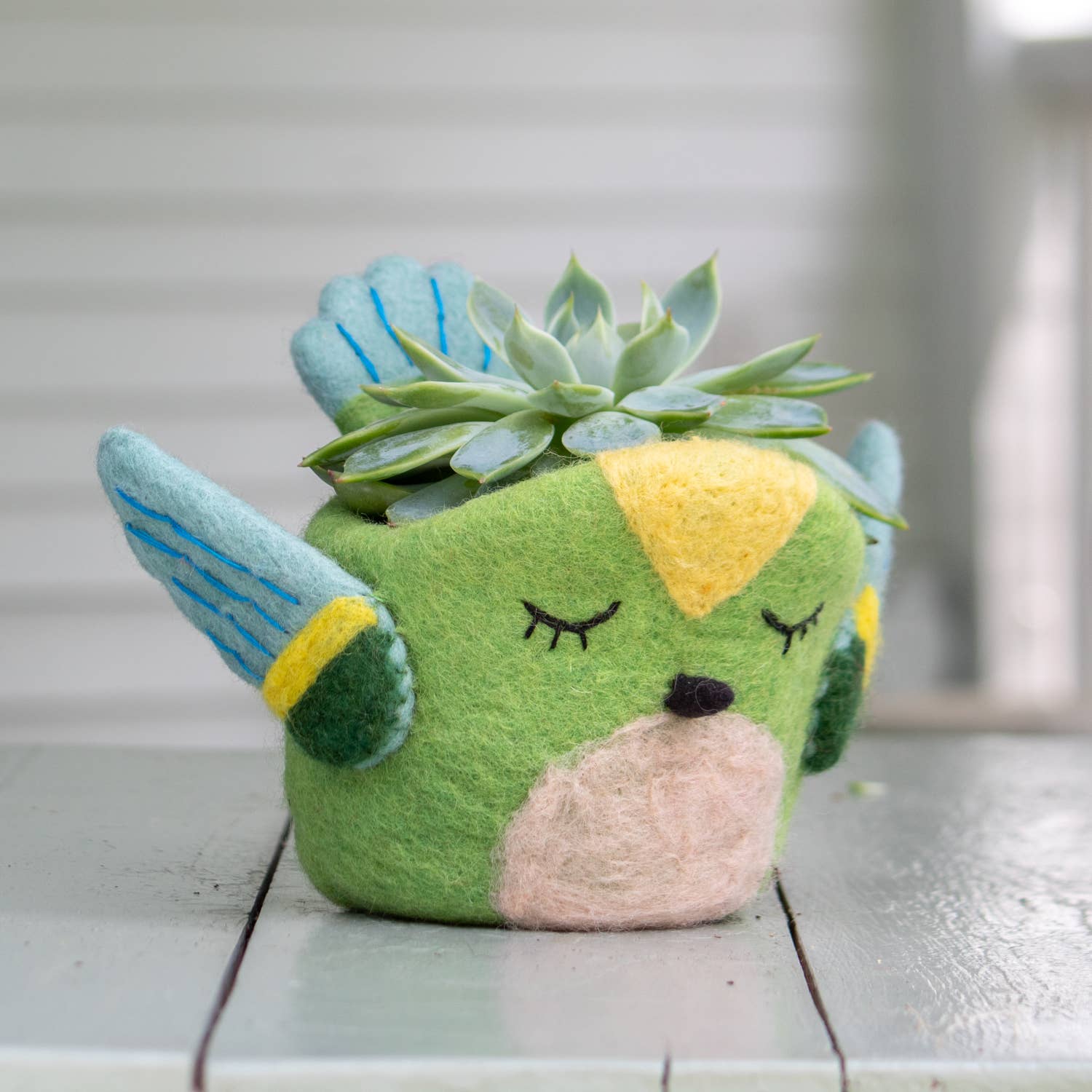 dZi Handmade – Vaso de plantas por atacado – Pote de Feltro Beija-flor4