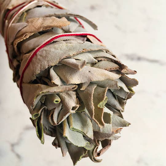 Kitchen Freshening White Sage for wholesale by Sleepers Gourmet