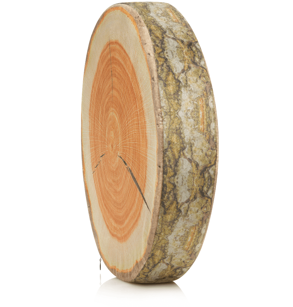 Husband Pillow - Vendita all'ingrosso Cuscini per letto - 360 - FETTA-REGISTRO-MAPL17