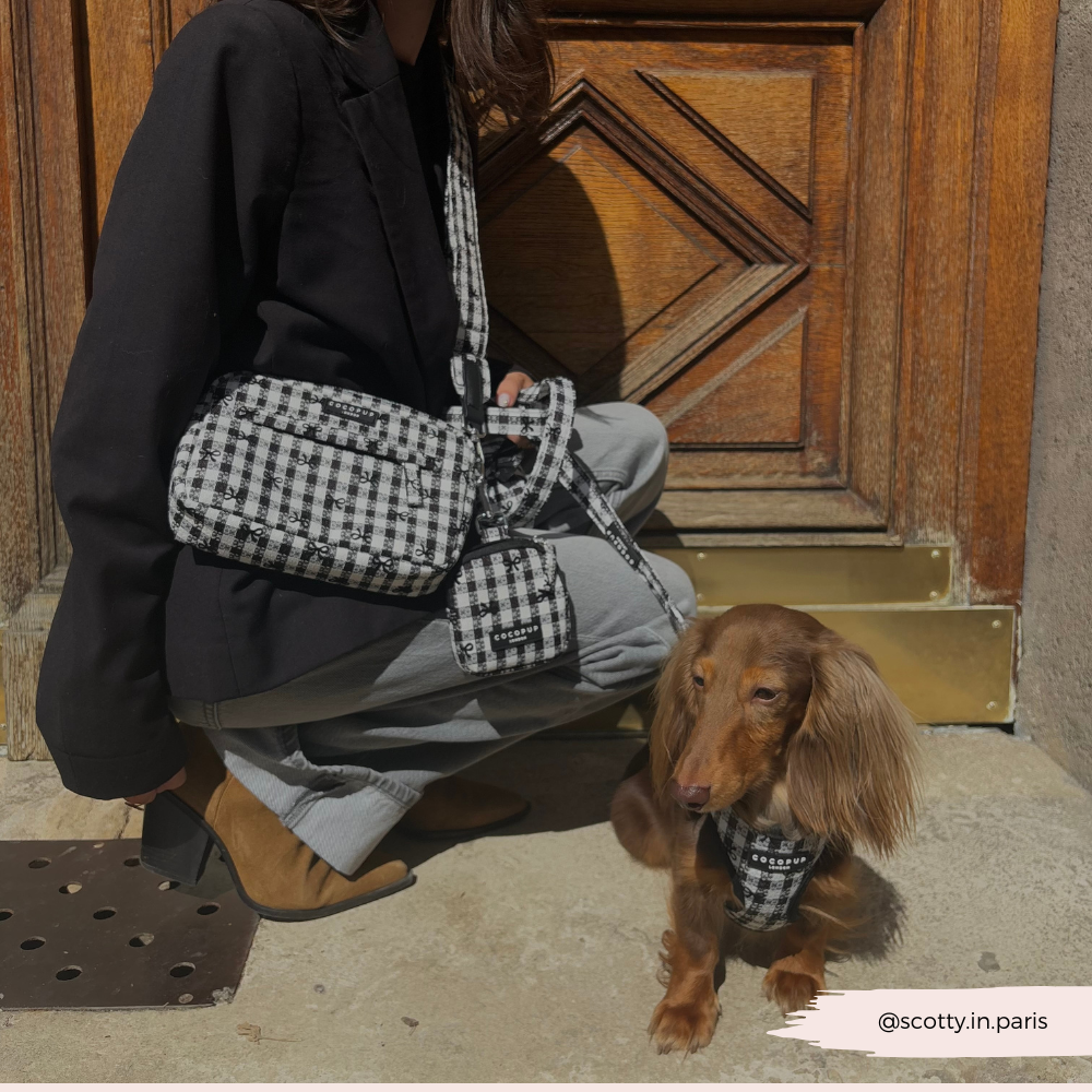 Cocopup London - Wholesale Bag Strap - Women's - Bag Strap - Pup in Paris2